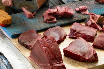 Ton Balığı Kediler İçin Sağlıklı Bir Yiyecek Mi?
