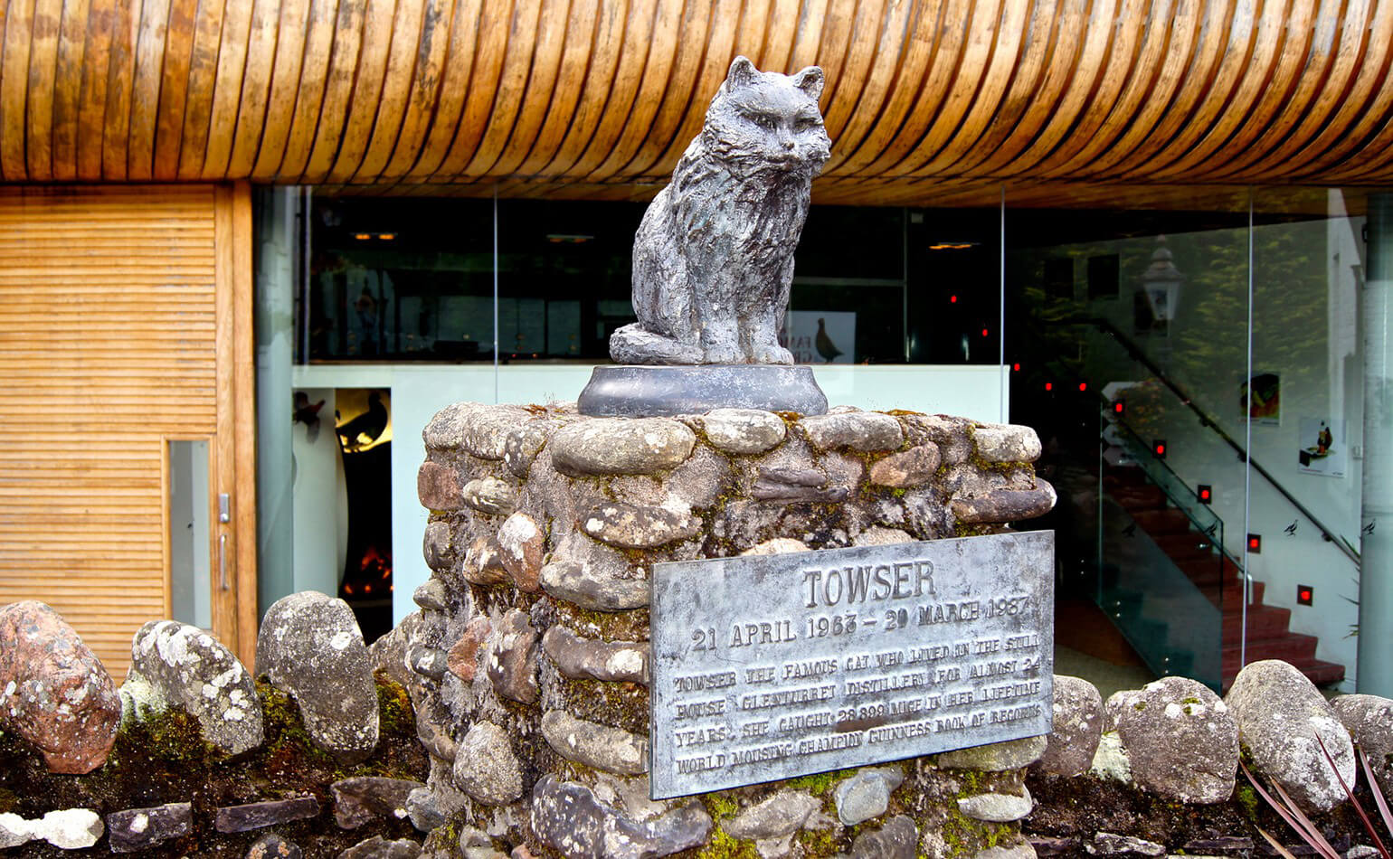 памятник коту в Шотландии