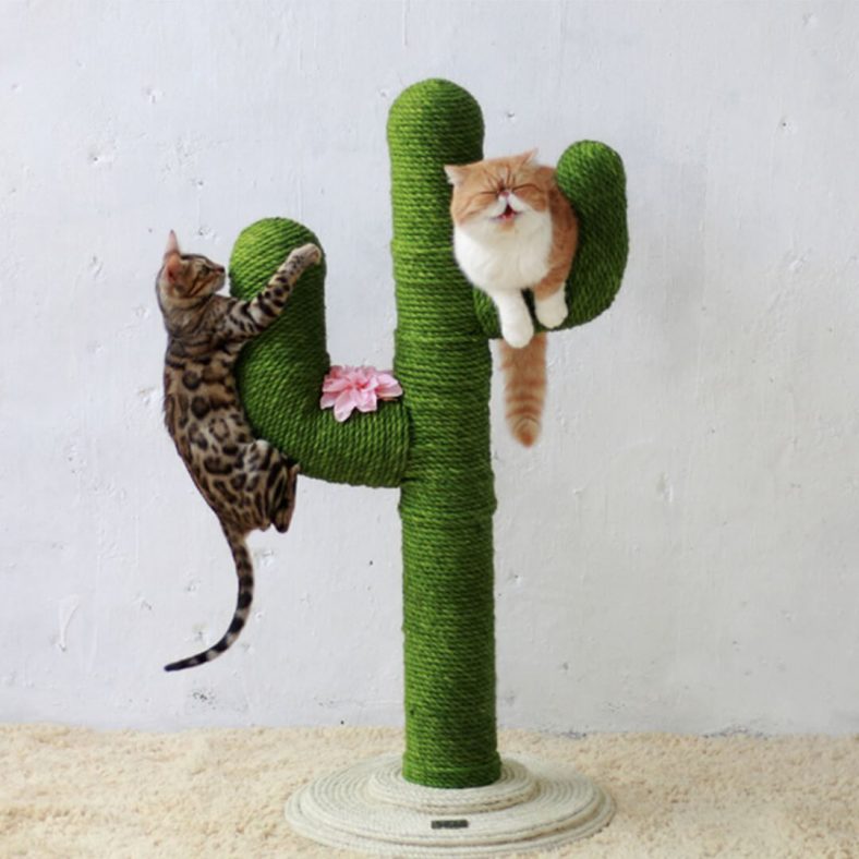 Kedi Tırmalama Direği