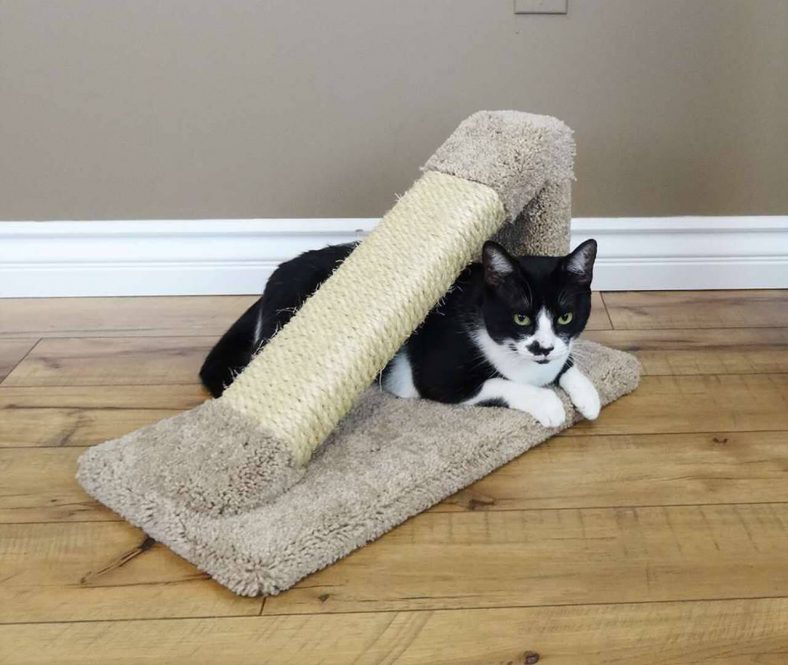 Kedi Tırmalama Rampası