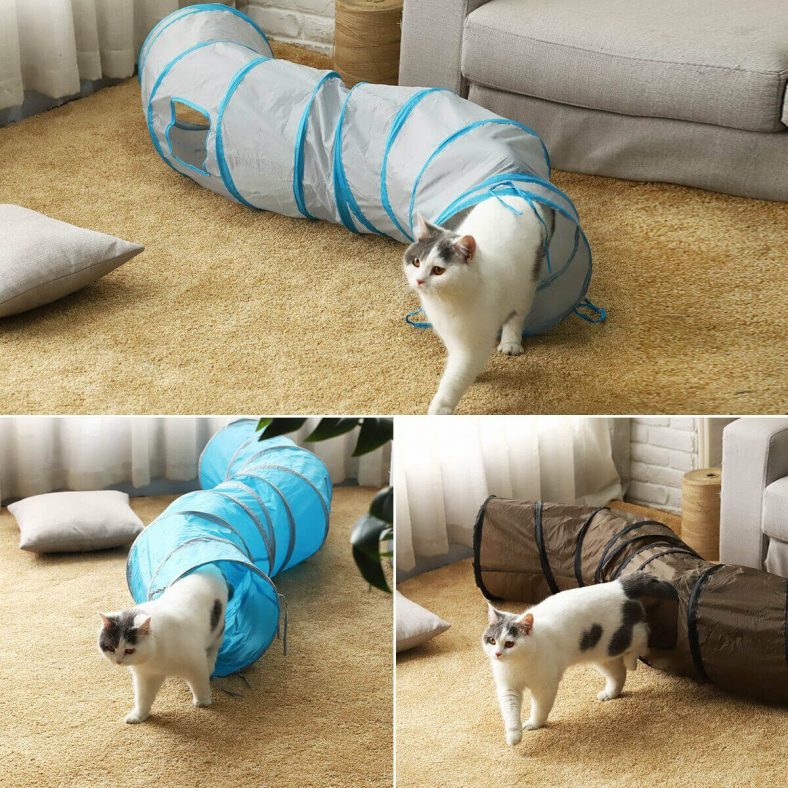Kedi Tüneli