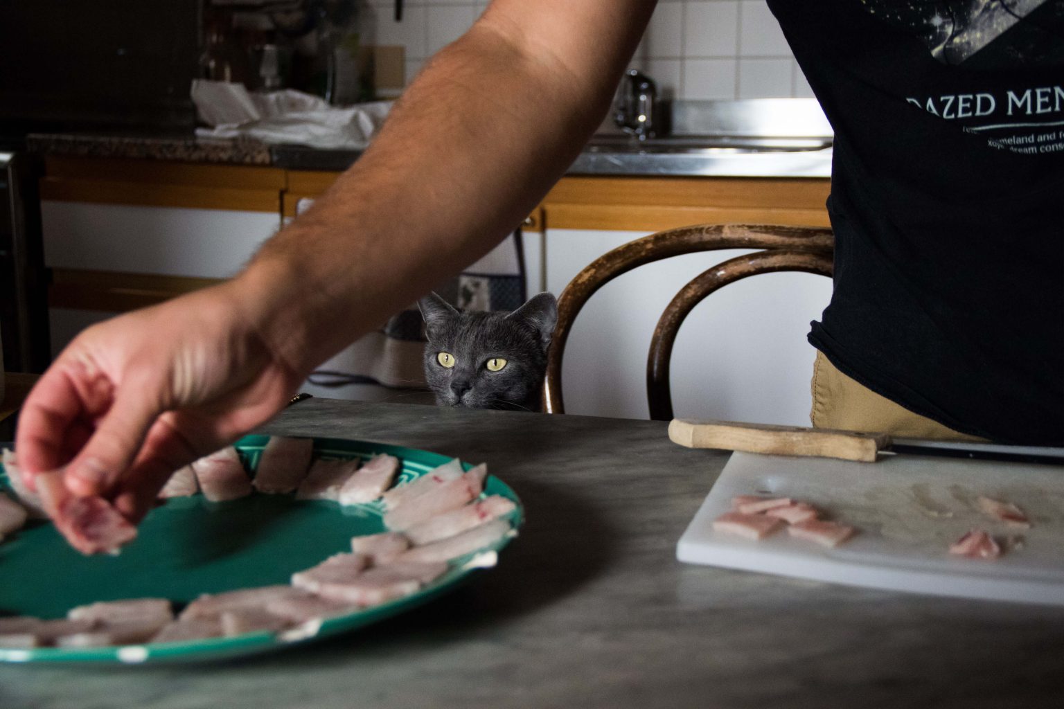 Kediler Çiğ Et Yer mi? Kediye Çiğ Et ve Çiğ Tavuk Vermek ️ Miyavliyo