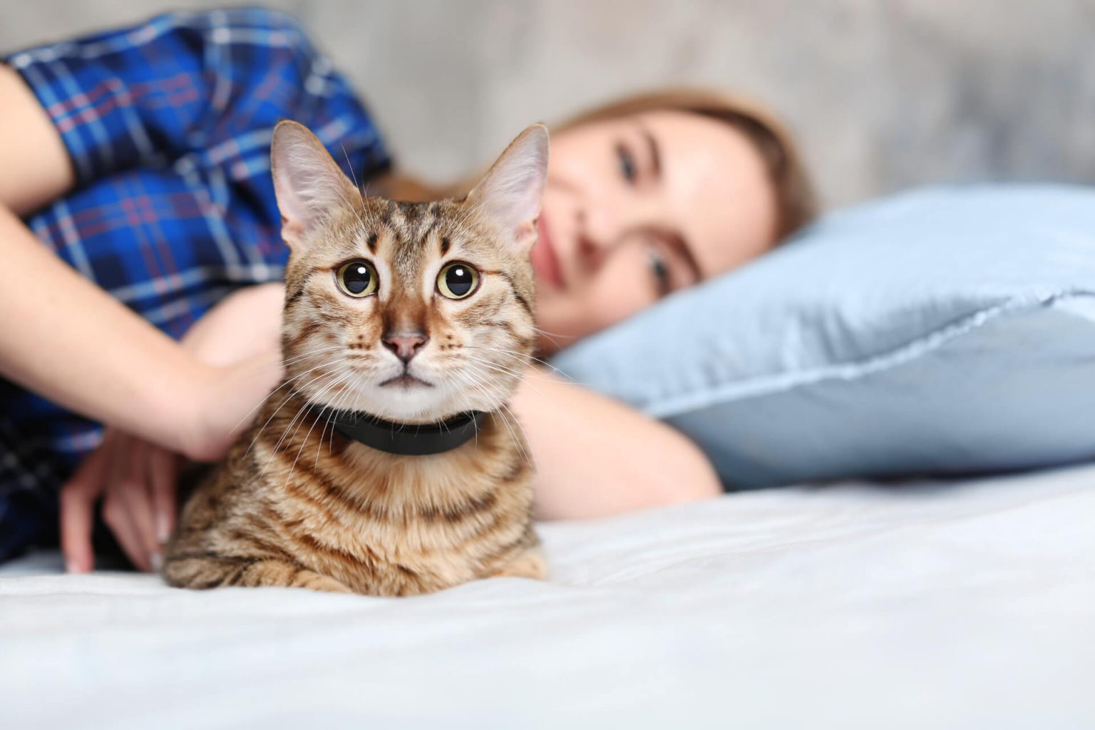 Kedi Sahibi Olmanın 10 Güzelliği Miyavliyo