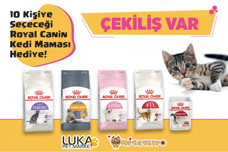 Luka Pet Market Sponsorluğunda Royal Canin Kedi Maması Çekilişi!
