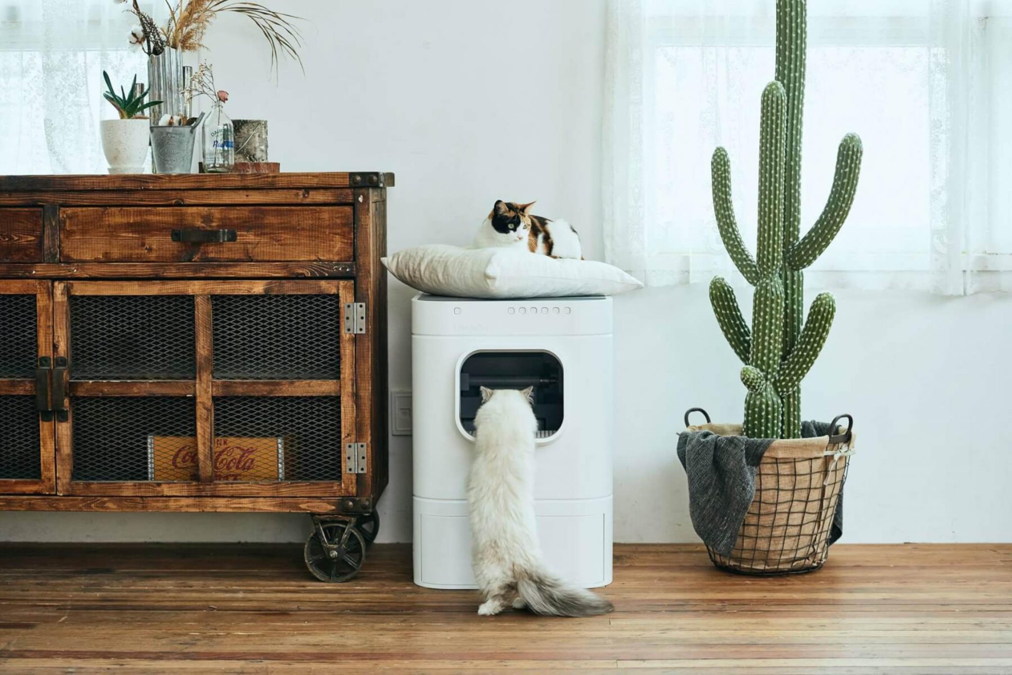 En İyi 5 Akıllı (Otomatik) Kedi Tuvaleti Miyavliyo