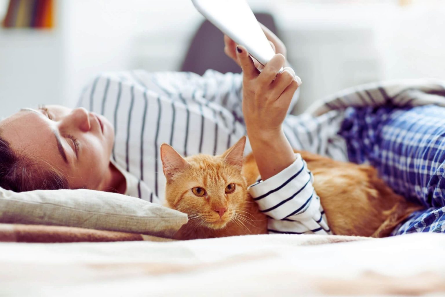 Kediler Sahiplerini Tanır mı? ️ Miyavliyo