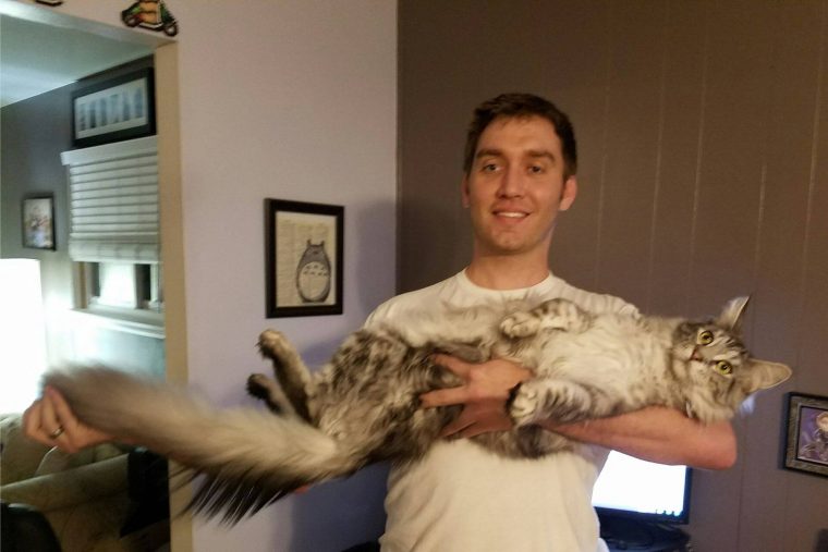 Uzun Kuyruklu Kedi