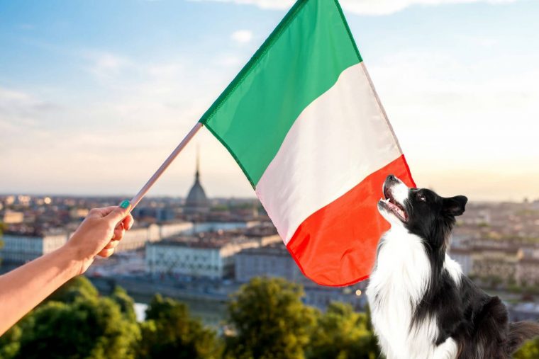 İtalyan Köpek Cinsleri